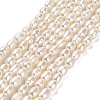 Natural Cultured Freshwater Pearl Beads Strands PEAR-E016-124-1