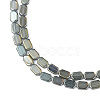 Electroplate Glass Beads Strands EGLA-N008-017-B01-3