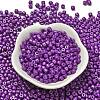 Baking Paint Pearlized Glass Seed Beads SEED-C001-04A-18-2