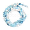 Electroplate Glass Beads Strands GLAA-P056-01B-2