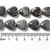 Natural Map Stone Beads Strands G-E614-A07-01-4