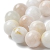 Natural Rainbow Moonstone Beads Strands G-N328-024-10mm-3