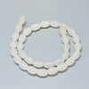 Frosted Natural Agate Beads Strands G-D0005-16-2