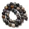 Natural Dendritic Jasper Beads Strands G-R494-A23-04-2