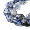 Natural Blue Spot Jasper Beads Strands G-K357-A06-01-4
