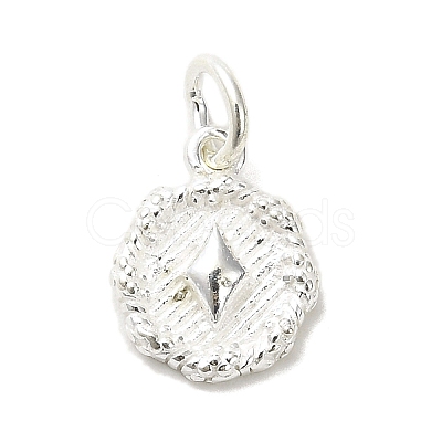 Sterling Silver Charms STER-E070-03F-1