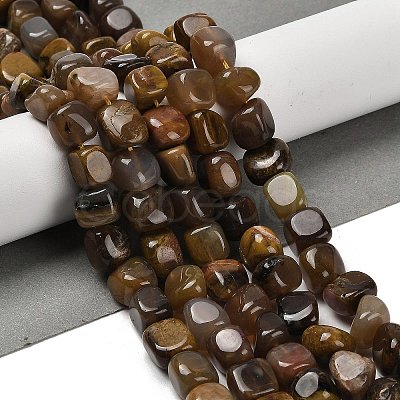 Natural Petrified Wood Beads Strands G-P497-01E-72-1