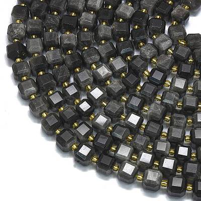 Natural Silver Obsidian Beads Strands G-K389-A41-01-1