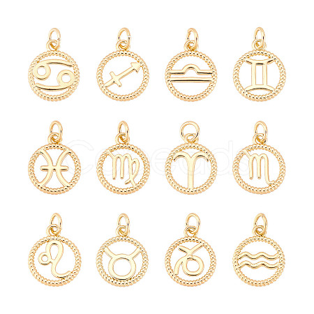 SUPERFINDINGS 12Pcs 12 Style Brass Charms KK-FH0004-40-1