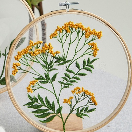 DIY Transparent Fabric Embroidery Kits DIY-K032-78D-1