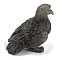 Natural Labradorite Carved Eagle Figurines Statues for Home Office Desktop Feng Shui Ornament, 58~62x74~80x41~44mm