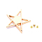 Zinc Alloy Star Rivets, Screw Back, for DIY Leather Craft, Light Gold, 67x69x11mm, Screw: 7x5.5mm