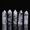 Point Tower Natural Tourmalinated Quartz Healing Stone Wands, for Reiki Chakra Meditation Therapy Decors, Hexagonal Prism, 60~70mm