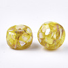 Resin Beads RESI-T024-35A-08-2