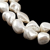 Shell Pearl Beads Strands BSHE-C008-01-3