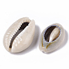 Natural Cowrie Shell Beads X-SSHEL-N034-33-3