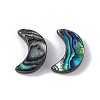 Natural Abalone Shell/Paua Shell Beads SSHEL-M021-08-2