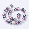 Shell Pearl Beads Strands BSHE-L035-E-3