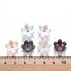 6-Petal Spray Painted Acrylic Bead Caps MACR-S373-46J-4