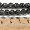 Natural Larvikite Beads Strands G-E571-A09-01-5