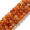Natural Carnelian Beads Strands G-E571-35C-1