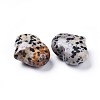 Natural Dalmatian Jasper Heart Love Stone G-F659-A15-2