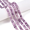 Natural Lepidolite/Purple Mica Stone Beads Strands G-N342-139-4