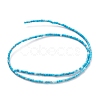 Dyed Natural Howlite Beads Strands G-H255-19-3