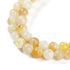 Natural Trochus Shell Beads Strands BSHE-H109-12B-4