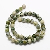 Natural Tree Agate Beads Strands G-K194-6mm-02-3