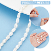 PandaHall Elite 1 Strand Natural Cultured Freshwater Pearl Beads Strands PEAR-PH0001-16-4