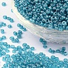 (Repacking Service Available) Glass Seed Beads SEED-C015-3mm-103-1