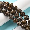 Natural African Opal Beads Strands G-H298-A11-05-2