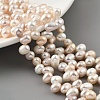 Natural Cultured Freshwater Pearl Beads Strands PEAR-A006-28C-2