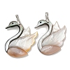 Natural Paua Shell & White Shell Pendants KK-U025-13P-1