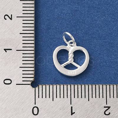 925 Sterling Silver Imitation Food Charms FIND-U013-11S-02-1