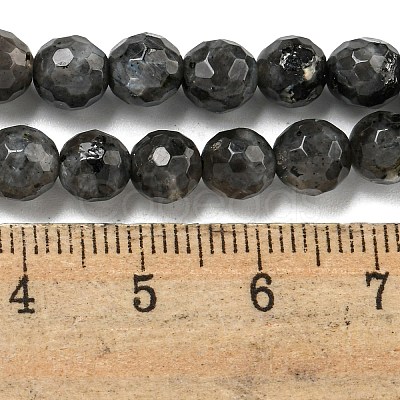 Natural Larvikite Beads Strands G-E571-A09-01-1