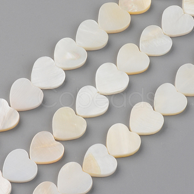 Natural Freshwater Shell Beads Strands SHEL-S276-87-1