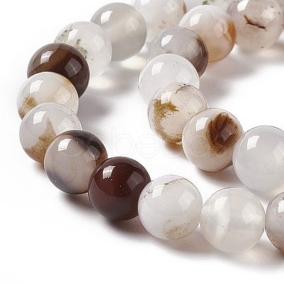 Natural Dendritic Agate Beads Strands G-C011-01B-1