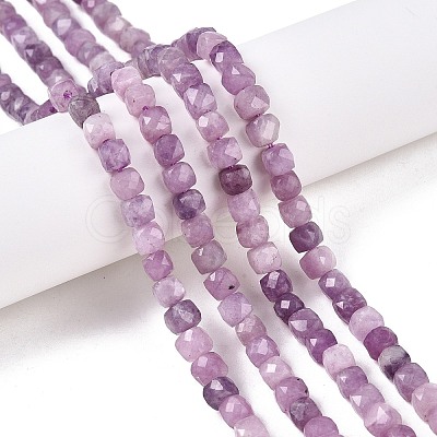 Natural Lepidolite/Purple Mica Stone Beads Strands G-N342-139-1