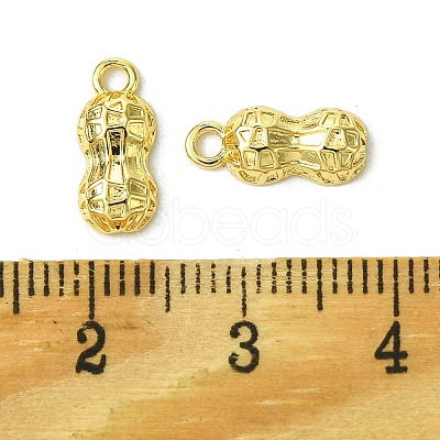 Brass Charms FIND-Z035-12G-1