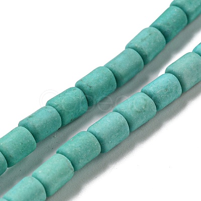 Dyed Synthetic Turquoise Beads Strands G-G075-A02-01-1