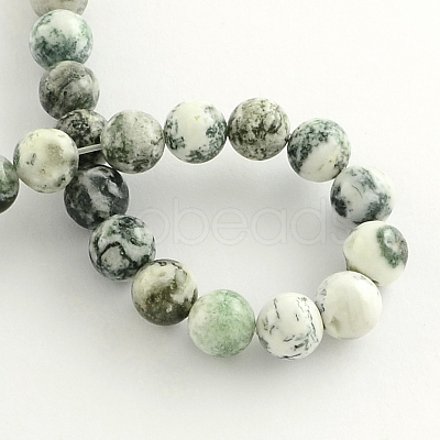 Natural Tree Agate Round Gemstone Beads Strands G-R255-8mm-1