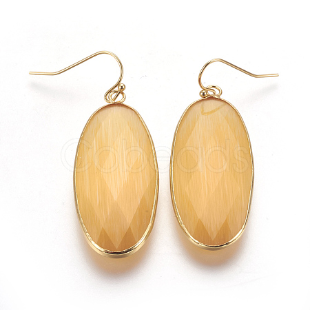 Brass Dangle Earrings EJEW-O083-03G-B-1