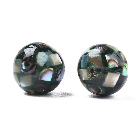 Natural Paua Shell Beads SHEL-N026-189B-02-1