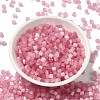 Glass Seed Beads SEED-H002-D-A808-2