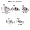Tibetan Style Alloy Charms TIBE-CJ0001-08-2