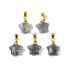 Natural Labradorite Charms G-N326-142-06-2