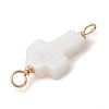 Natural Freshwater Shell Connector Charms PALLOY-JF02441-01-3