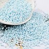 Baking Paint Glass Seed Beads X-SEED-S042-05B-64-1